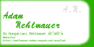 adam mehlmauer business card
